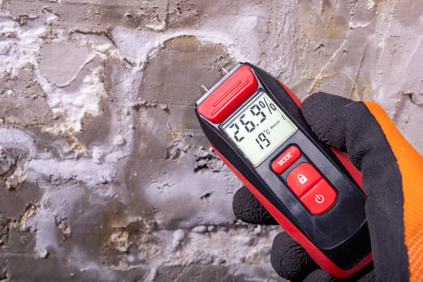 Best Water Damage Restoration  in Highland, IL
